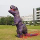 Dinosaur T-Rex Inflatable Blow Up Costume