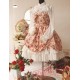 Spring Fragrance Wild Rosy Blouse Lolita Dress