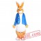 Peter Rabbit Easter Mascot Costume