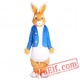 Peter Rabbit Easter Mascot Costume