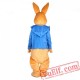 Peter Rabbit Easter Mascot Costume