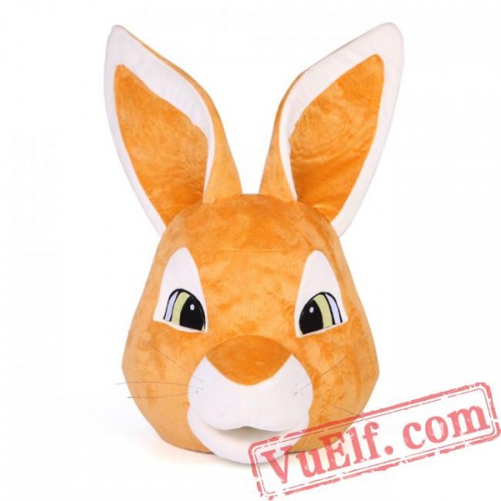 Peter Rabbit Easter Mascot Costume