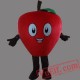 Apple Fruit Mascot Costume