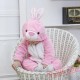 Baby Rabbit Kigurumi Onesie Costume