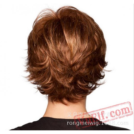 Short Brown Blonde Wigs for Women