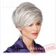 Short Puffy Curly Sliver Wigs for Women