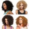 Mid Length Puffy Black & Brown Curly Wigs for Women
