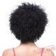 Black Women Short Curly Puffy Wigs