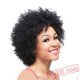 Black Women Short Curly Puffy Wigs