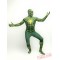 Green Spiderman Costumes - Lycra Spandex BodySuit | Zentai Suit