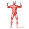 Attack on Titan Costumes - Lycra Spandex BodySuit | Zentai Suit