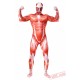 Attack on Titan Costumes - Lycra Spandex BodySuit | Zentai Suit