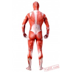 Attack on Titan Costumes - Lycra Spandex BodySuit | Zentai Suit